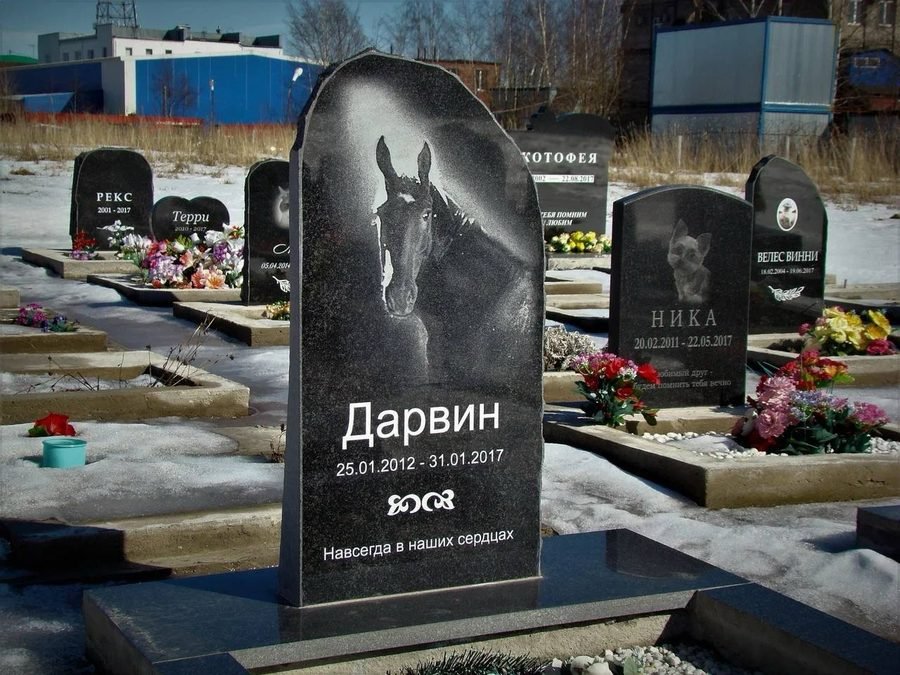 Памятник любимому питомцу 3